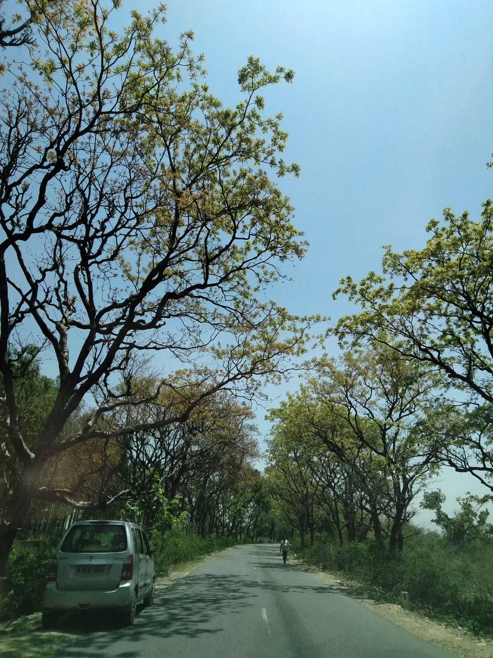 Photo of Kalesar National Park, Yamuna Nagar, Haryana, India by Aparajita