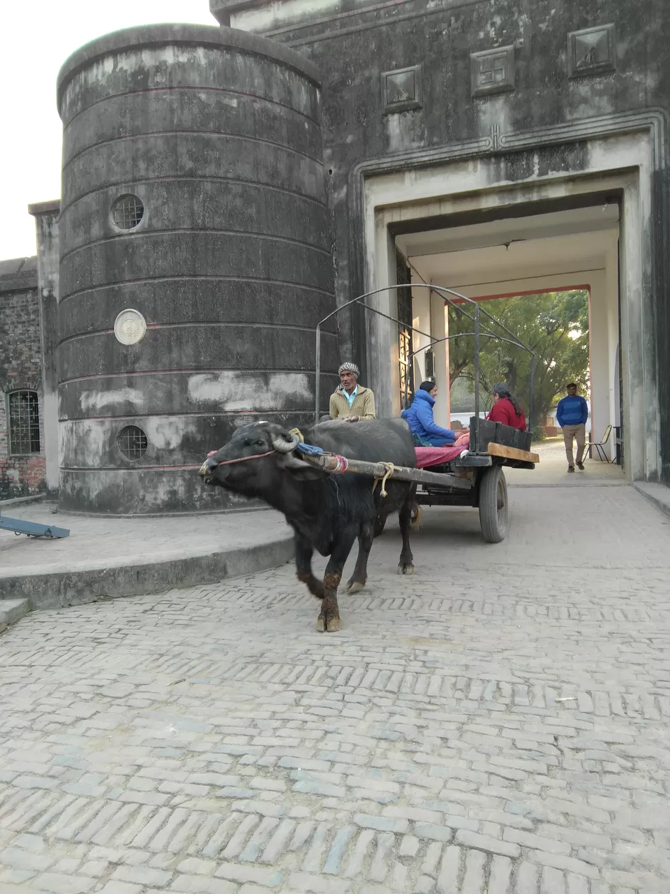 Photo of Amarthal Urf Unchagaon, Uttar Pradesh, India by Aparajita