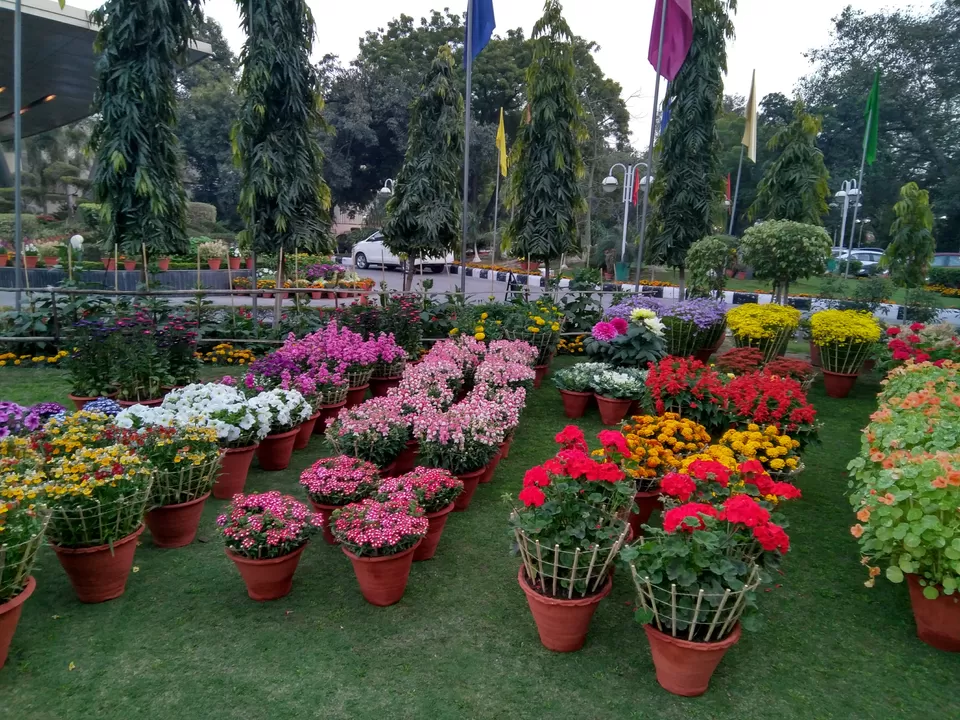 Photo of Hotel Mountview, Sector 10A, Sector 10, Chandigarh, India by Aparajita