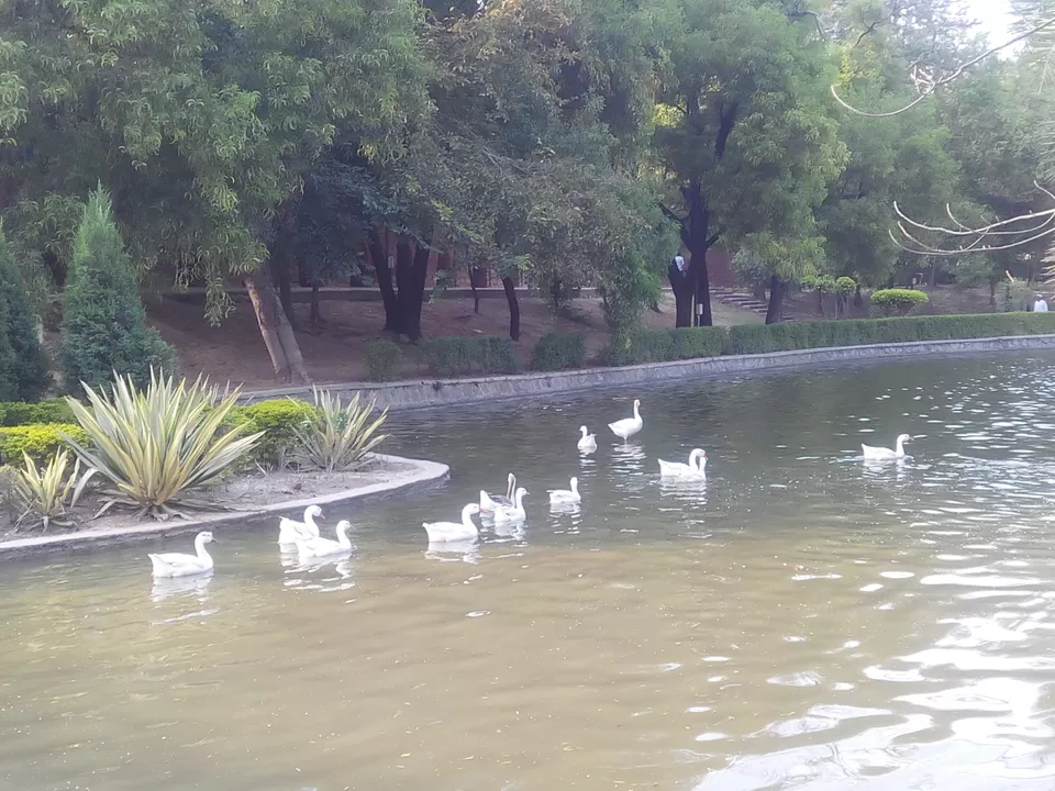 Photo of Lodhi Gardens, Lodhi Estate, New Delhi, Delhi, India by Aparajita