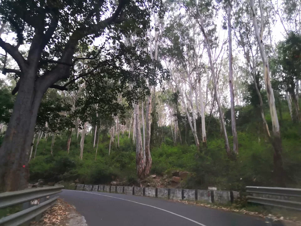 Photo of Yelagiri, Tamil Nadu, India by Aparajita