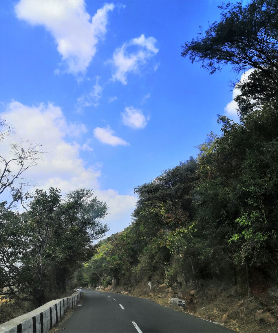 Photo of Mesmerizing Views and Hairpin Bends: A Day Trip to Yelagiri from Bangalore by Aparajita
