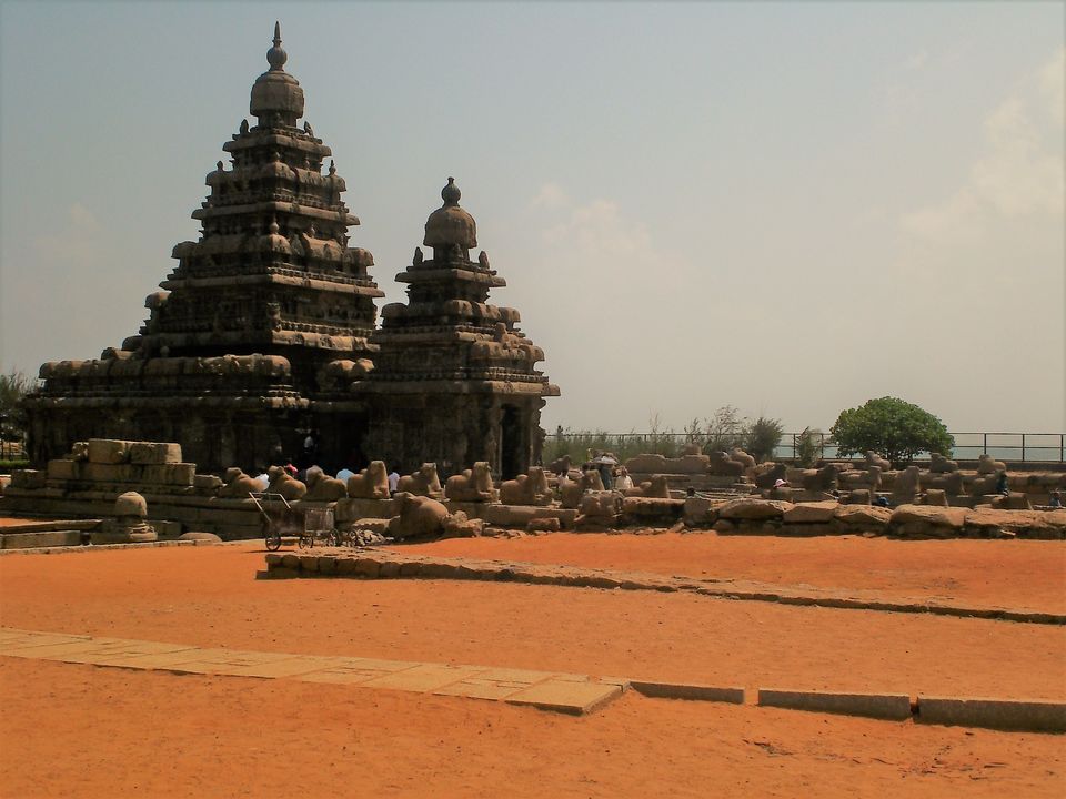 Photo of Beyond Chennai & Pondicherry: A Coastal Journey to Discover the Hidden Gems of Tamil Nadu 3/10 by Aparajita