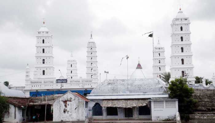 Photo of Beyond Chennai & Pondicherry: A Coastal Journey to Discover the Hidden Gems of Tamil Nadu 10/10 by Aparajita