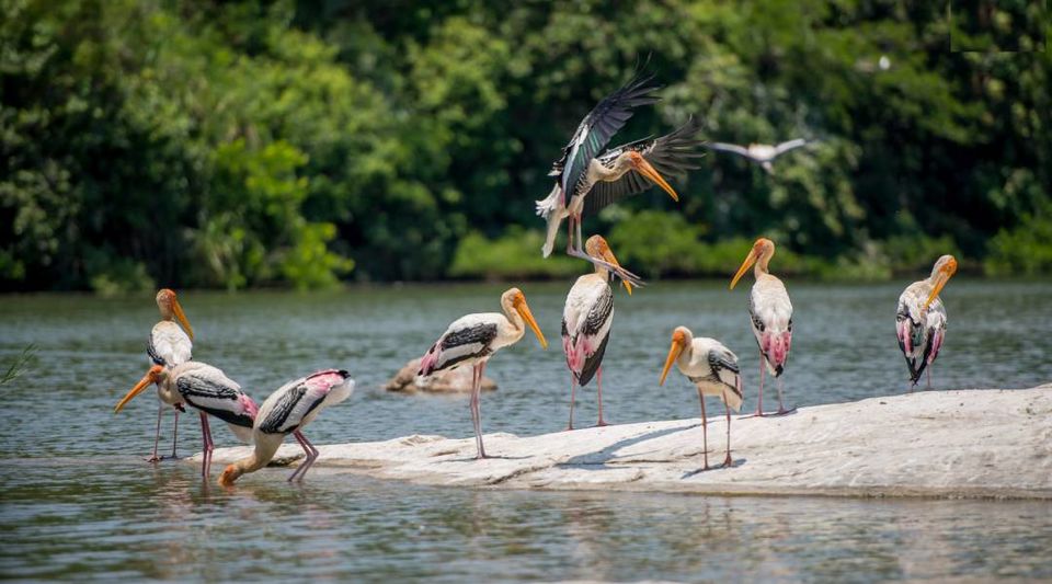 Photo of Head Over to This Charming River Island Just 3 hours Away from Bangalore for a Splendid Weekend 1/1 by Aparajita