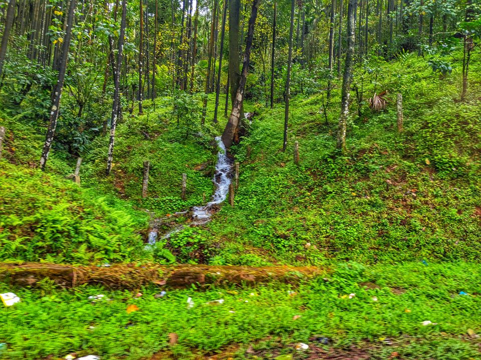 Photo of Just 6 Hrs from Bangalore, This Scenic & Tranquil Homestay Amidst Coffee Estates Won Our Hearts! 1/2 by Aparajita