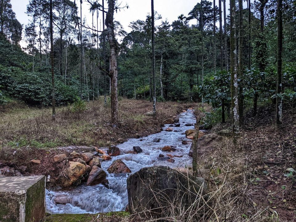 Photo of Just 6 Hrs from Bangalore, This Scenic & Tranquil Homestay Amidst Coffee Estates Won Our Hearts! 2/2 by Aparajita