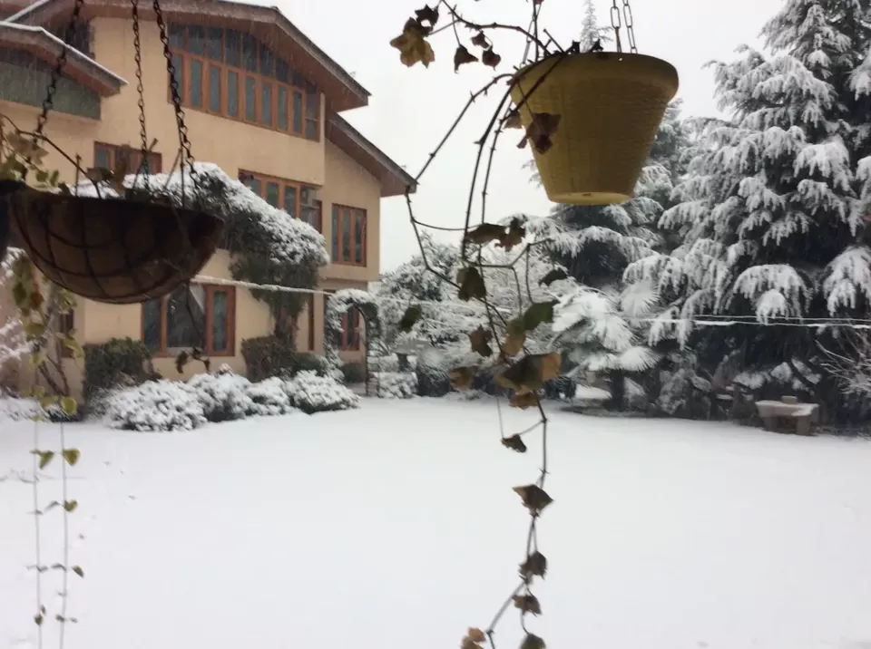 Photo of the cottage nigeen, near Nigeen Lake, Nagin Bagh, Srinagar by Aparajita