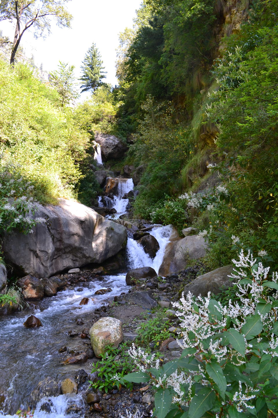 Photo of Kasol - Tosh - Kheerganga 6/39 by Tanmay Jadhav