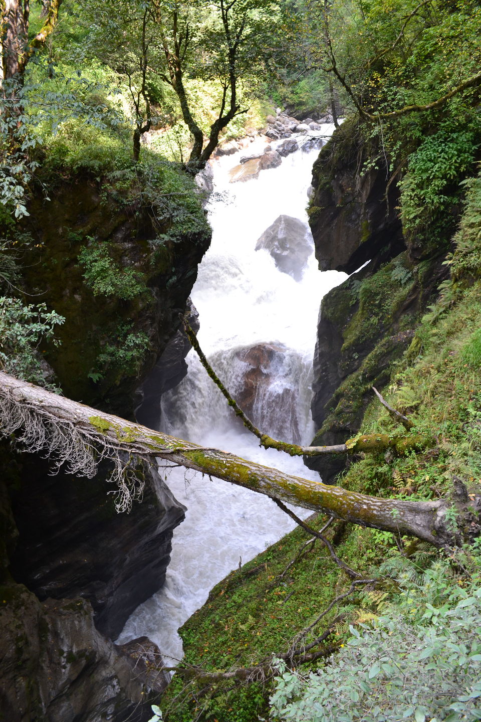 Photo of Kasol - Tosh - Kheerganga 16/39 by Tanmay Jadhav