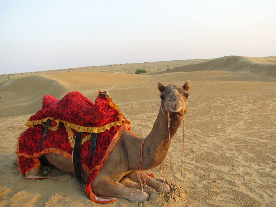 Photo of The Great Western: Rajasthan 5/46 by Doreen Charles