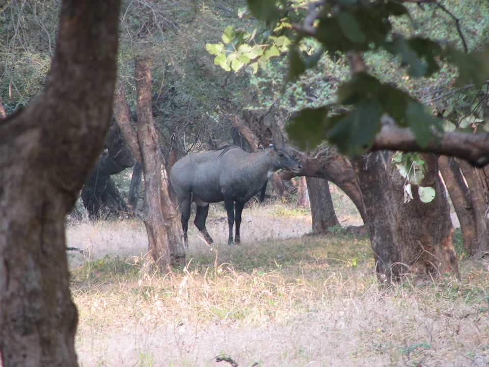 Photo of The Great Western: Rajasthan 42/46 by Doreen Charles
