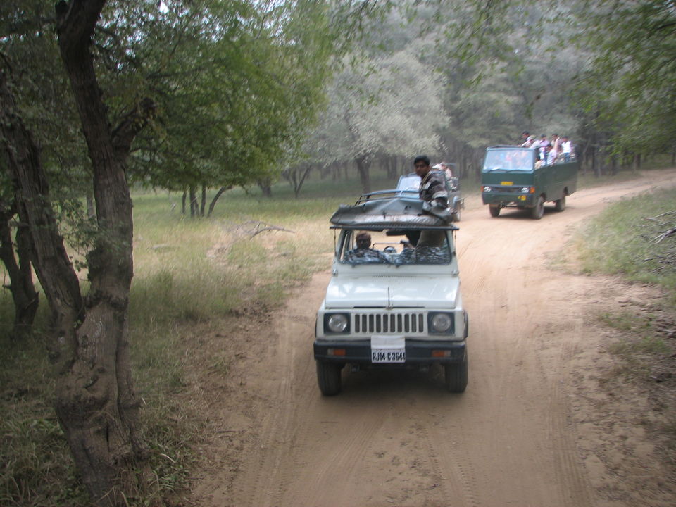 Photo of The Great Western: Rajasthan 46/46 by Doreen Charles