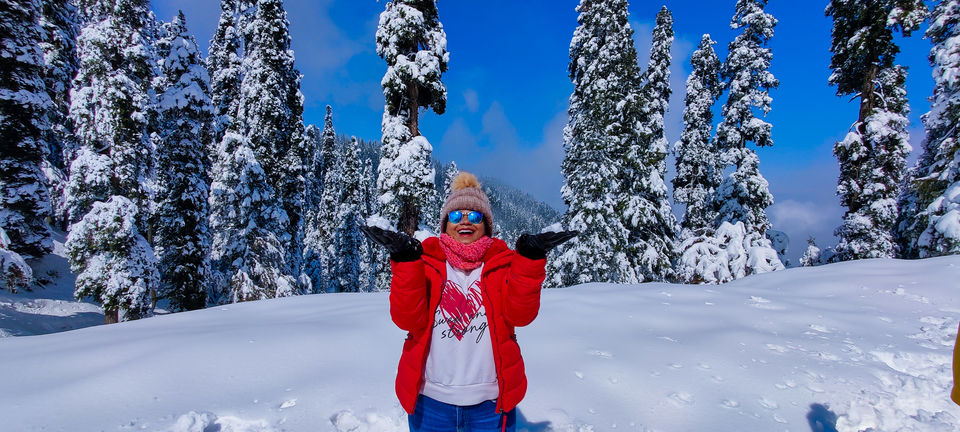 Photo of 6 days in Jannat-e-Kashmir 3/5 by Saheli Das