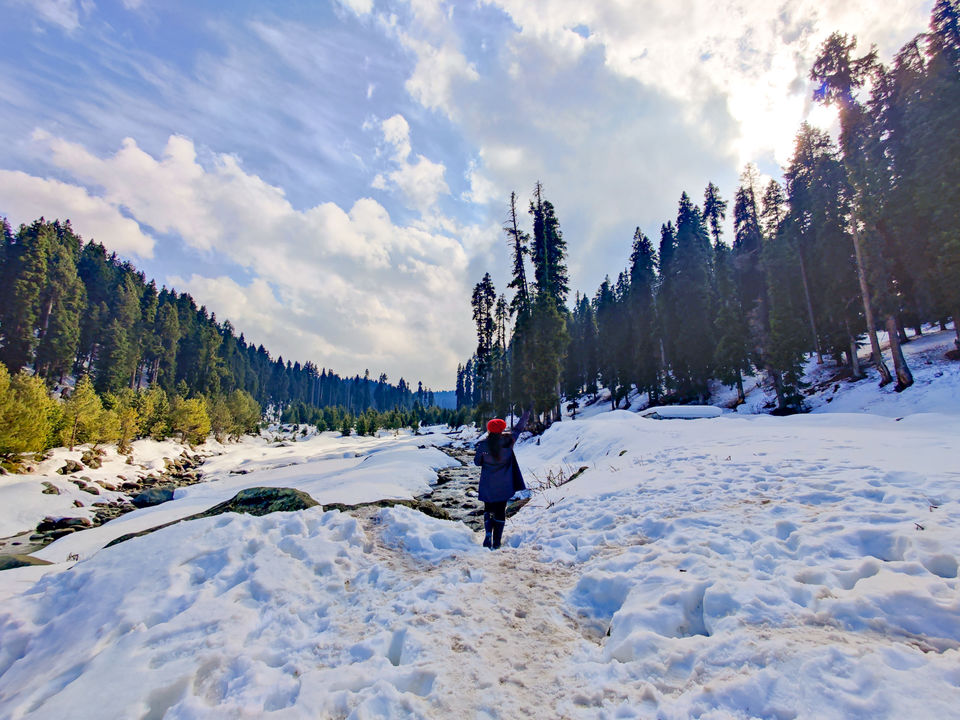 Photo of 6 days in Jannat-e-Kashmir by Saheli Das
