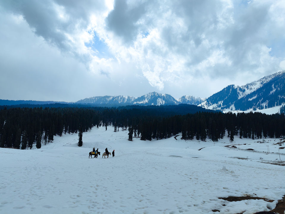 Photo of 6 days in Jannat-e-Kashmir 5/5 by Saheli Das