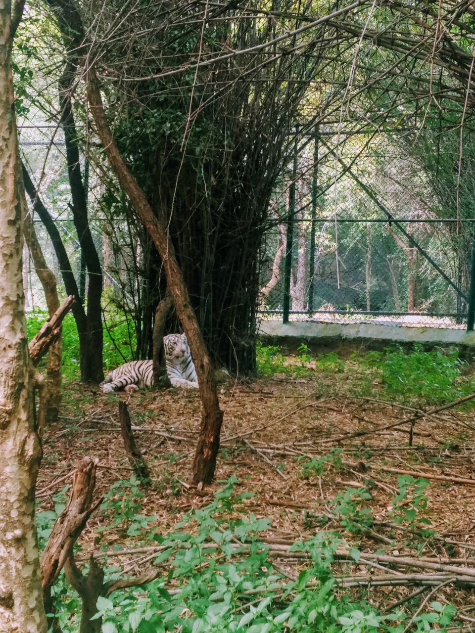 Photo of There's more to Bengaluru 2/4 by Kakoli
