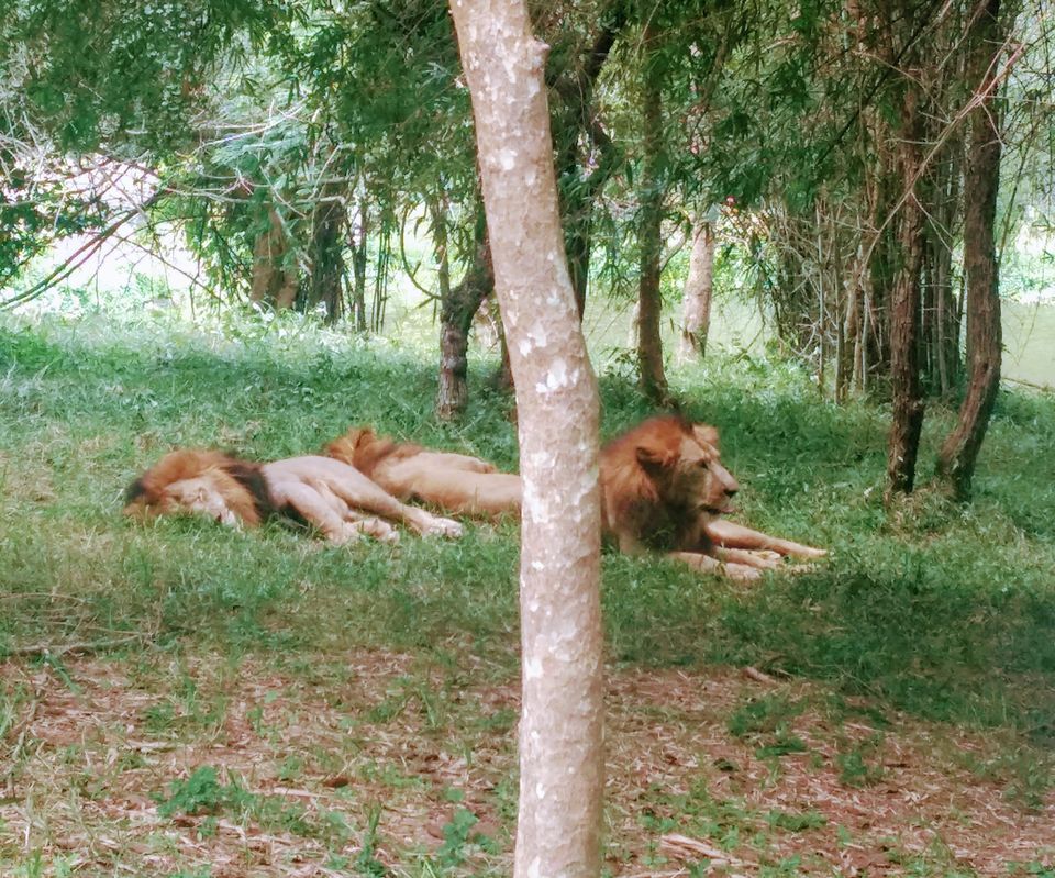 Photo of There's more to Bengaluru 4/4 by Kakoli