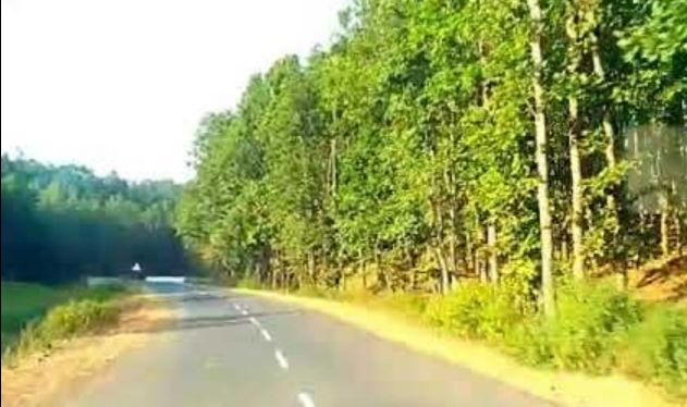 Photo of Amarkantak by Aditya Mukesh Mishra