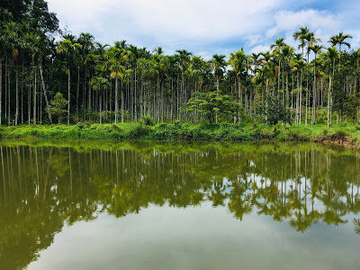 Photo of Kodagu, Karnataka, India by Cobblestone Chronicles