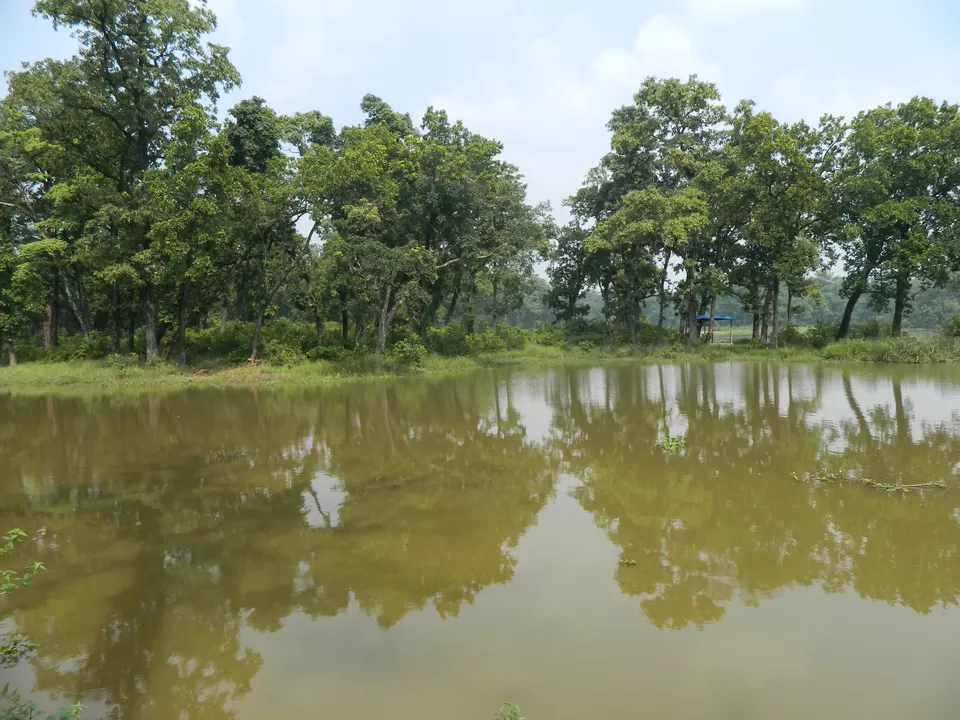 Photo of Dhangadhi, Far-Western Region, Nepal by jain.akash0123