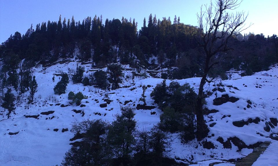 Photo of Lord Shiva Winter Home - Tungnath 2/16 by jain.akash0123
