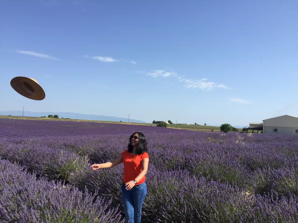 Photo of Valensole, France by Purnima