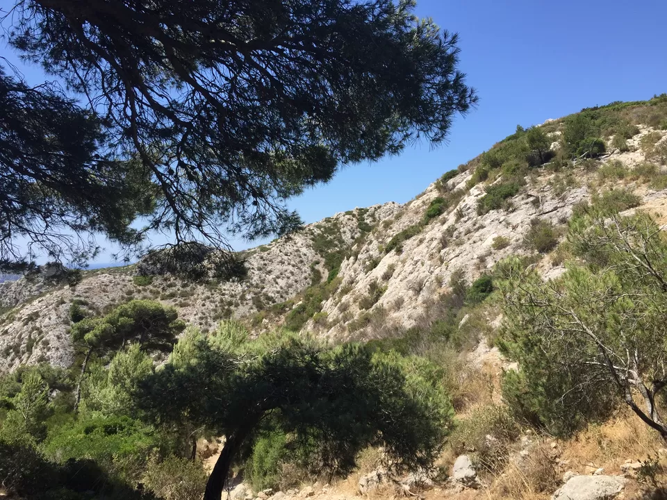 Photo of Marseille, France by Purnima