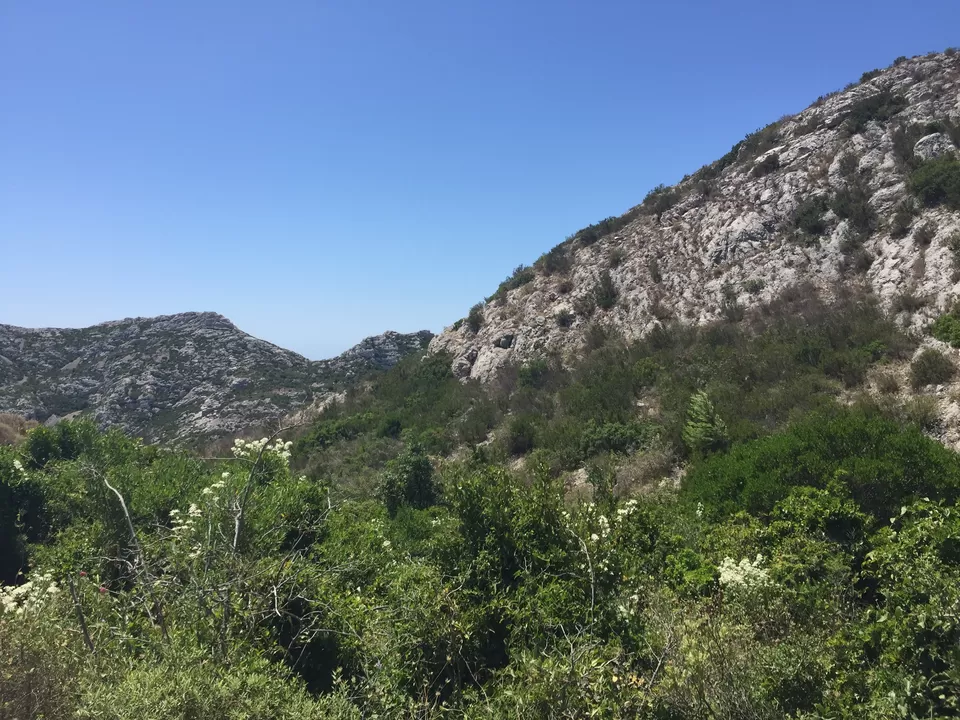 Photo of Marseille, France by Purnima