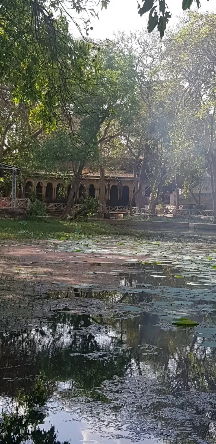 Photo of भदैया कुन्ड शिवपुरी by Hemant Shrivastava
