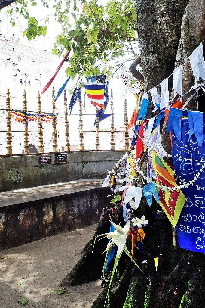 Photo of Majestic Monuments in Bentota, Sri Lanka, You Must Visit – Monuments of the Coast 1/4 by Aurora Gianna