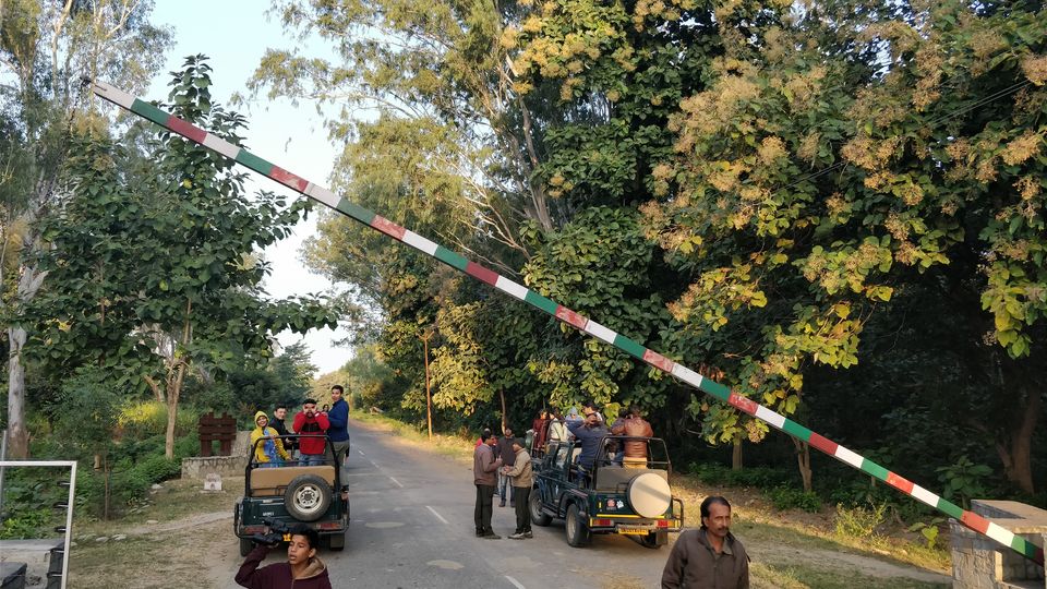 Photo of JIM CORBETT NATIONAL PARK - Part 3 by Mithilesh Kumar
