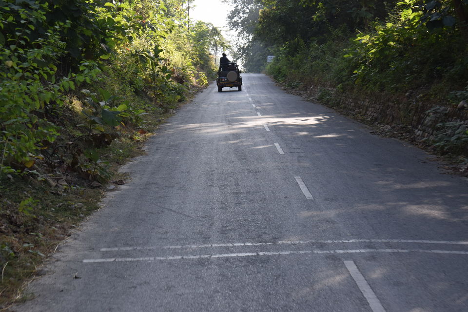 Photo of JIM CORBETT NATIONAL PARK - Part 3 by Mithilesh Kumar