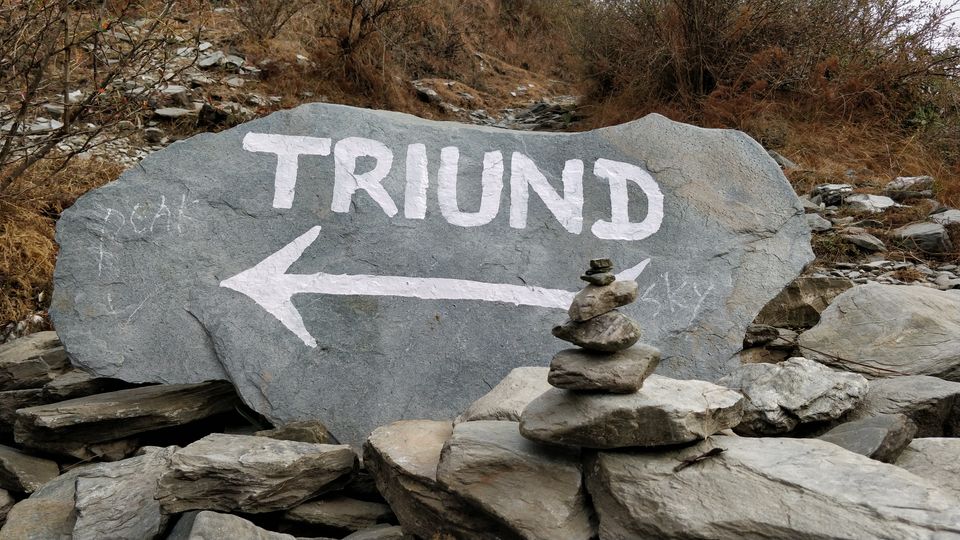 Photo of Mountains are calling: Triund Trek - Part 1 1/1 by Mithilesh Kumar