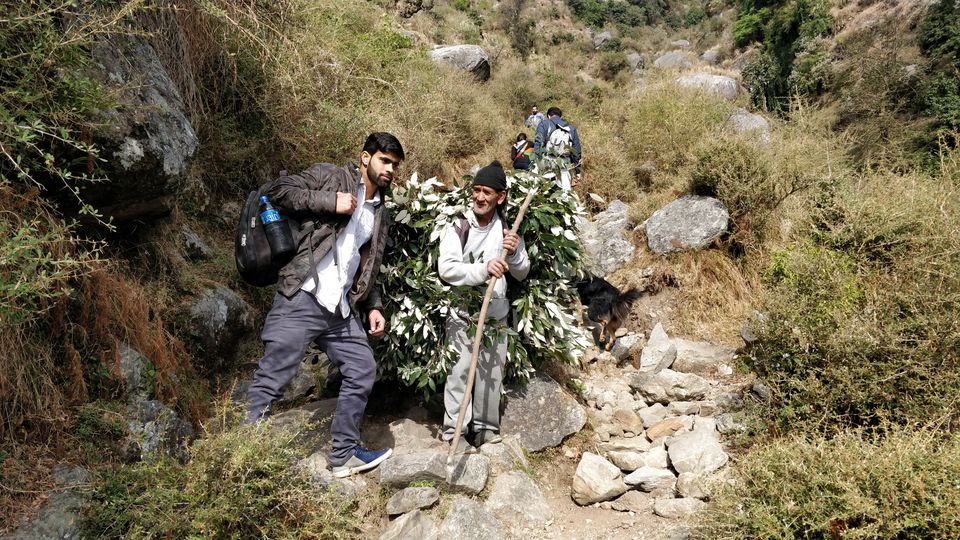 Photo of Mountains are calling: Triund Trek - Part 3 2/8 by Mithilesh Kumar