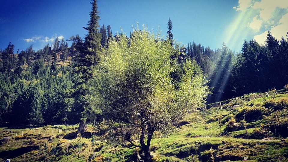 Photo of Manali - Chapter 3 3/5 by Mithilesh Kumar
