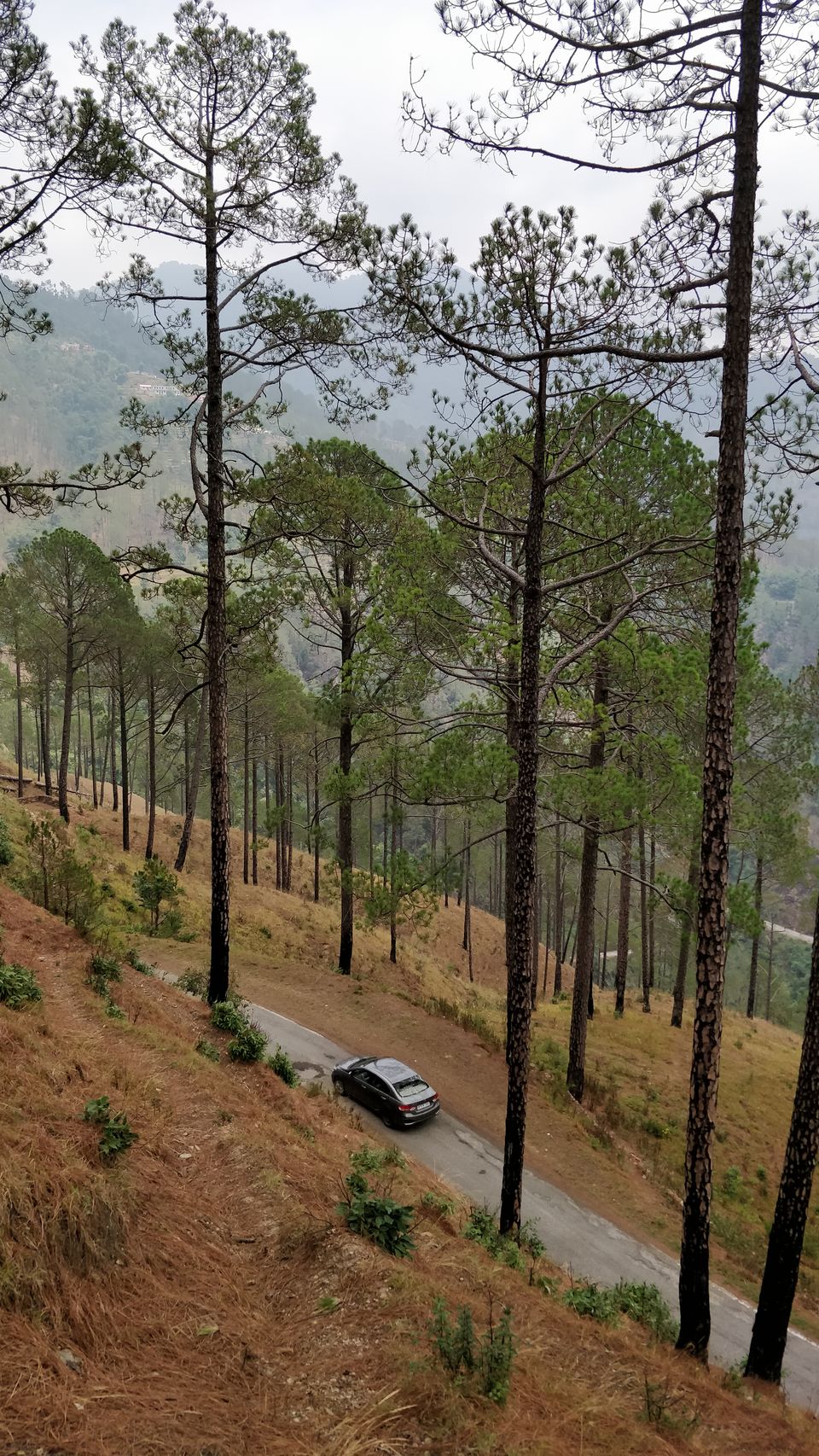 Photo of Offbeat Destination- Kanatal 5/5 by Mithilesh Kumar