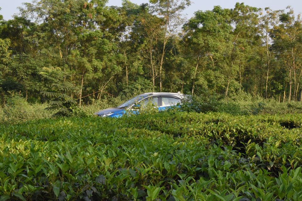 Photo of Road trip to Bhutan. Exploring the Land of Thunder Dragon 3/7 by Sujoy