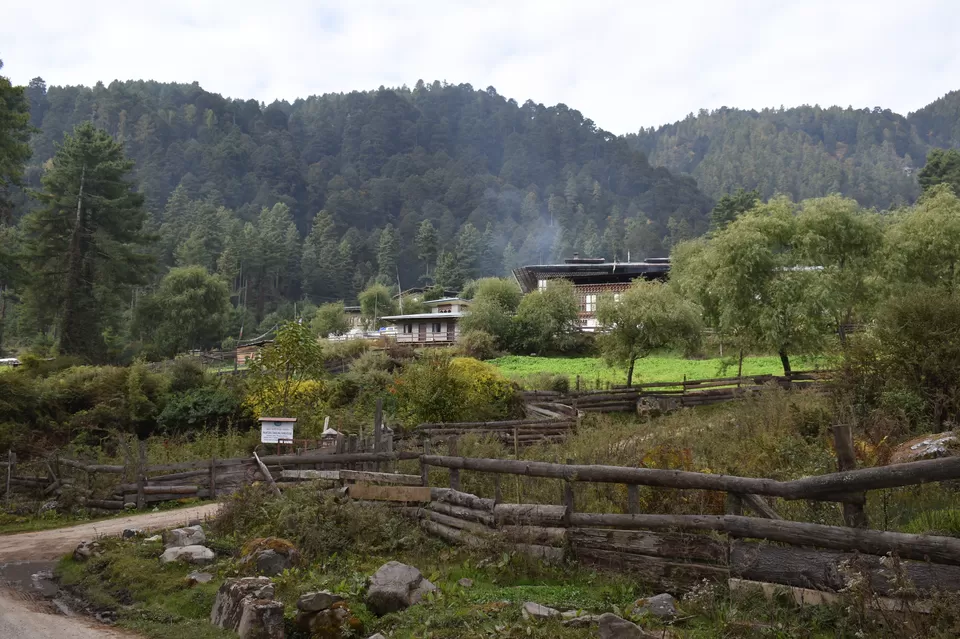 Photo of Phobjikha Valley, Wangdue Phodrang, Bhutan by Sujoy