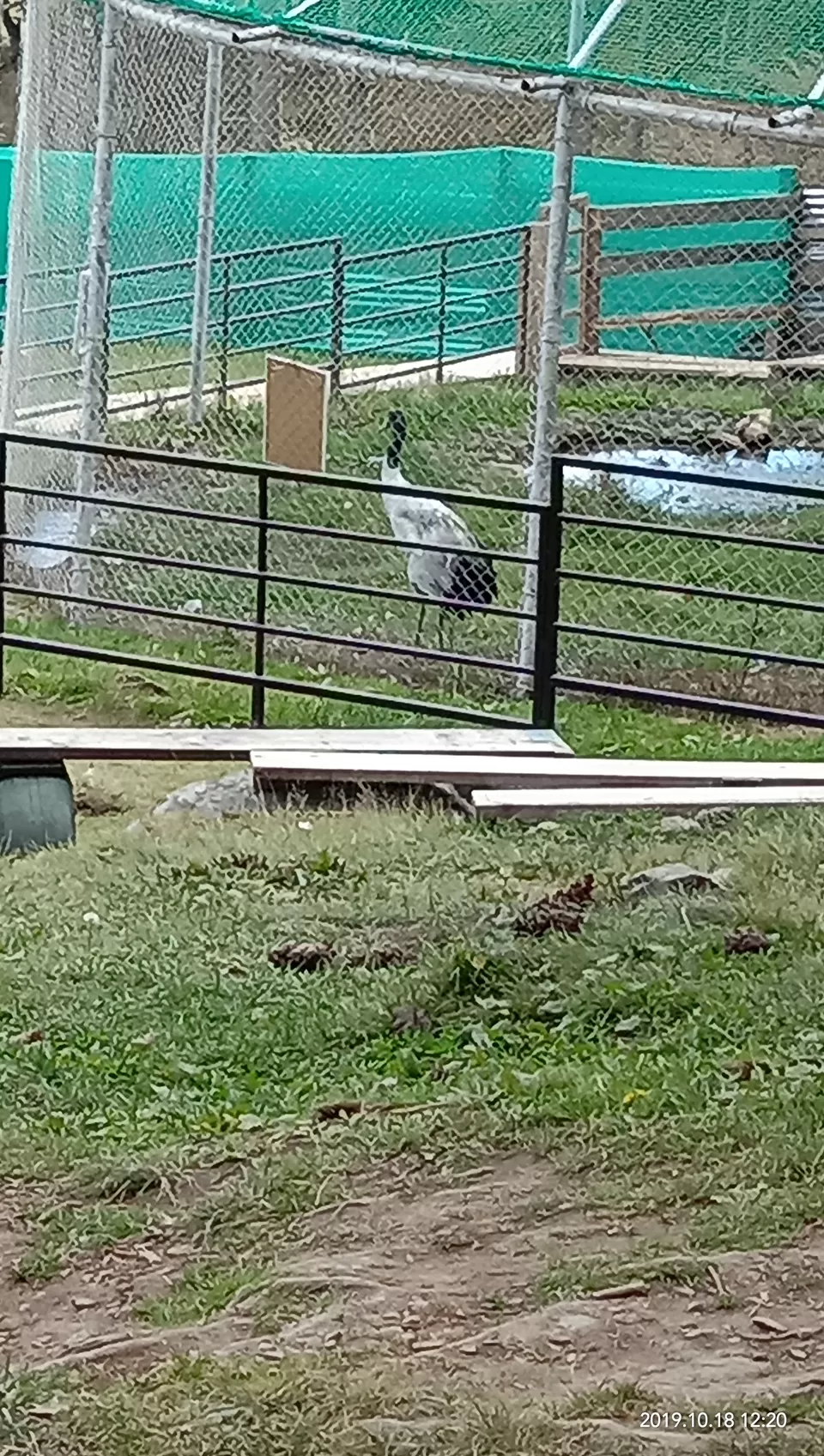 Photo of Black-necked Crane Visitor Centre, Phobjikha, Bhutan by Sujoy
