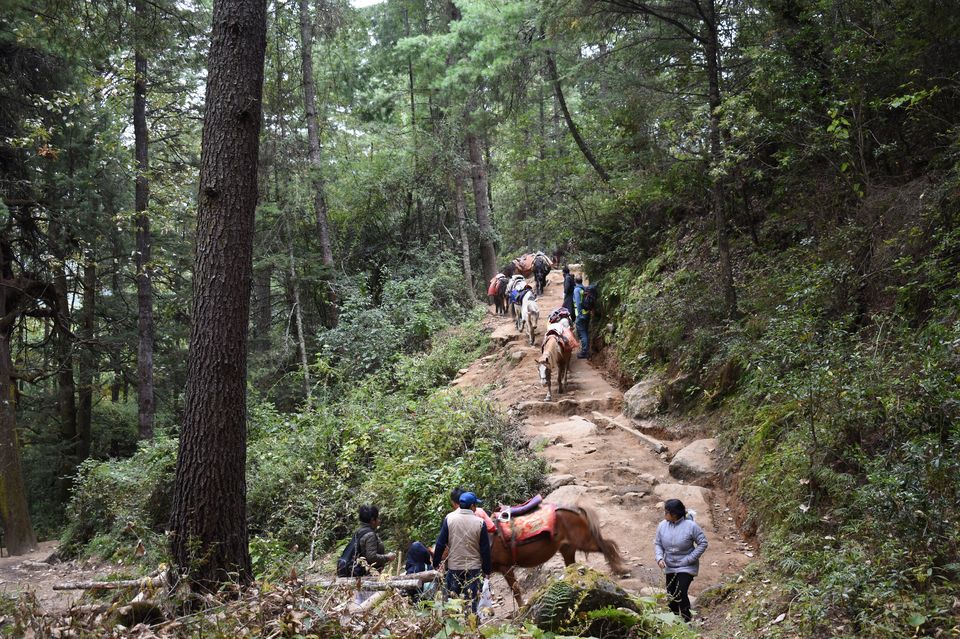 Photo of Road trip to Bhutan. Exploring the Land of Thunder Dragon by Sujoy