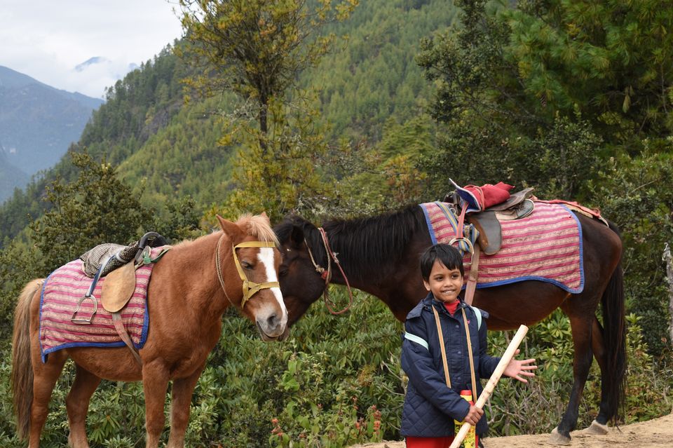 Photo of Road trip to Bhutan. Exploring the Land of Thunder Dragon by Sujoy
