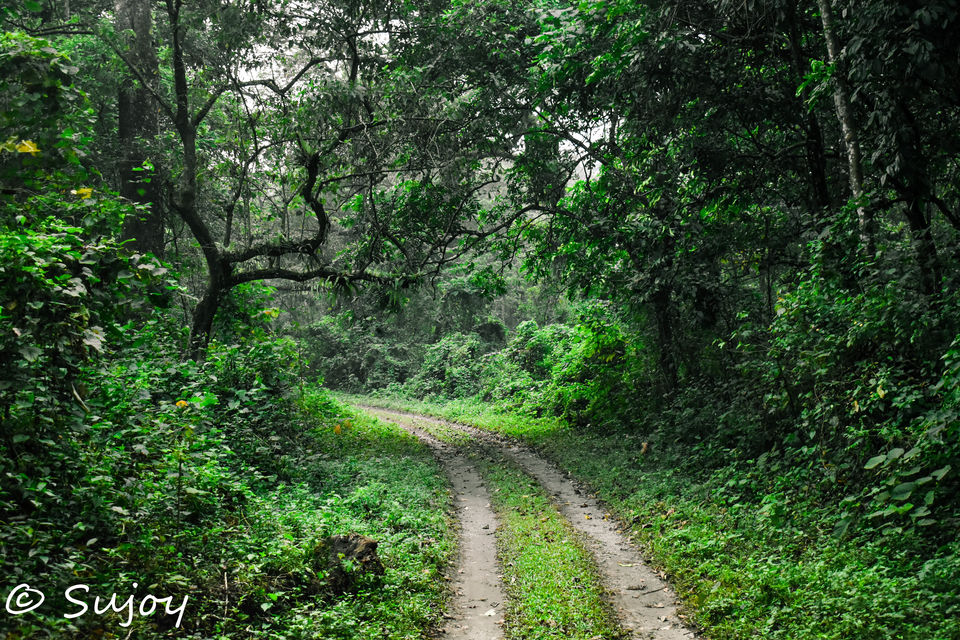 Photo of Road trip to Bhutan. Exploring the Land of Thunder Dragon by Sujoy