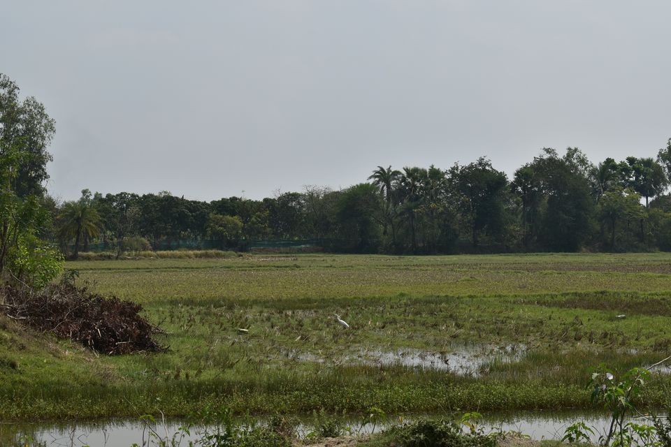 Photo of IN SEARCH OF VITAMIN SEA. WEEKEND DRIVE TO MANDARMANI AND TAJPUR. 6/78 by Sujoy