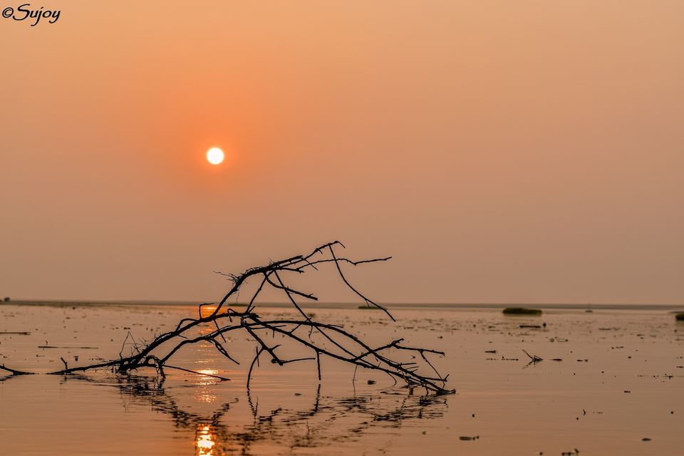 Photo of IN SEARCH OF VITAMIN SEA. WEEKEND DRIVE TO MANDARMANI AND TAJPUR. 67/78 by Sujoy