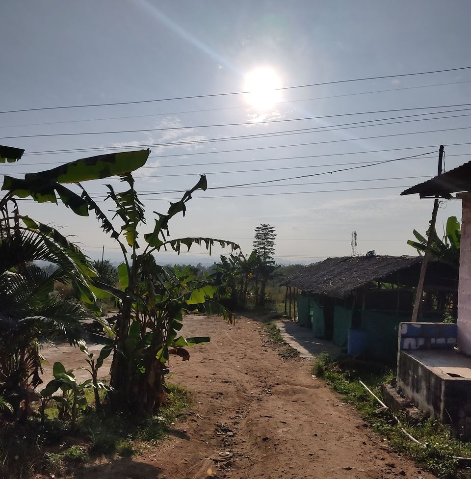 Photo of Bengaluru to B. R. hills and back 3/17 by Apoorva CG