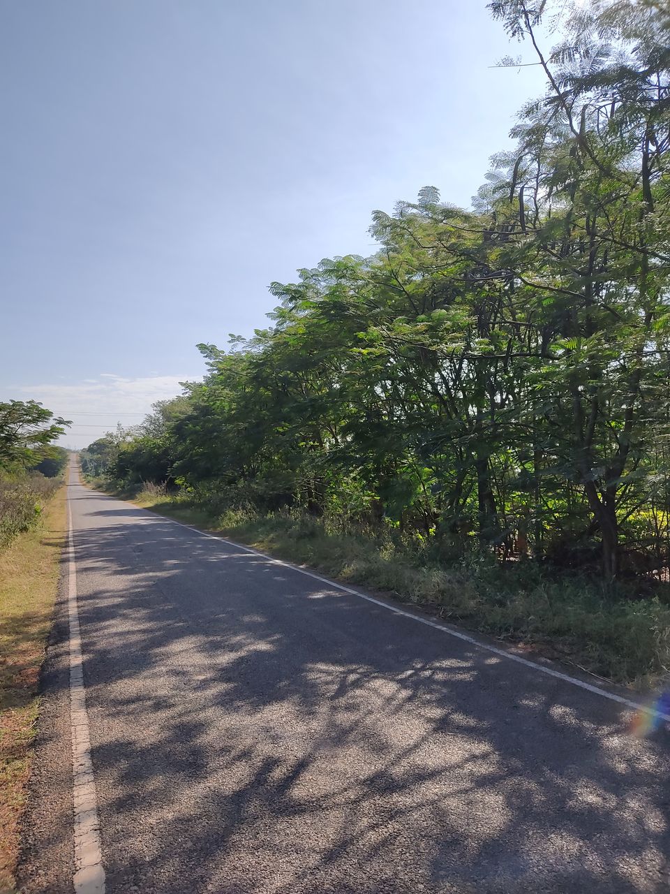 Photo of Bengaluru to B. R. hills and back 5/17 by Apoorva CG