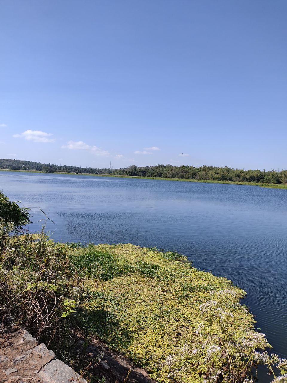 Photo of Bengaluru to B. R. hills and back 8/17 by Apoorva CG