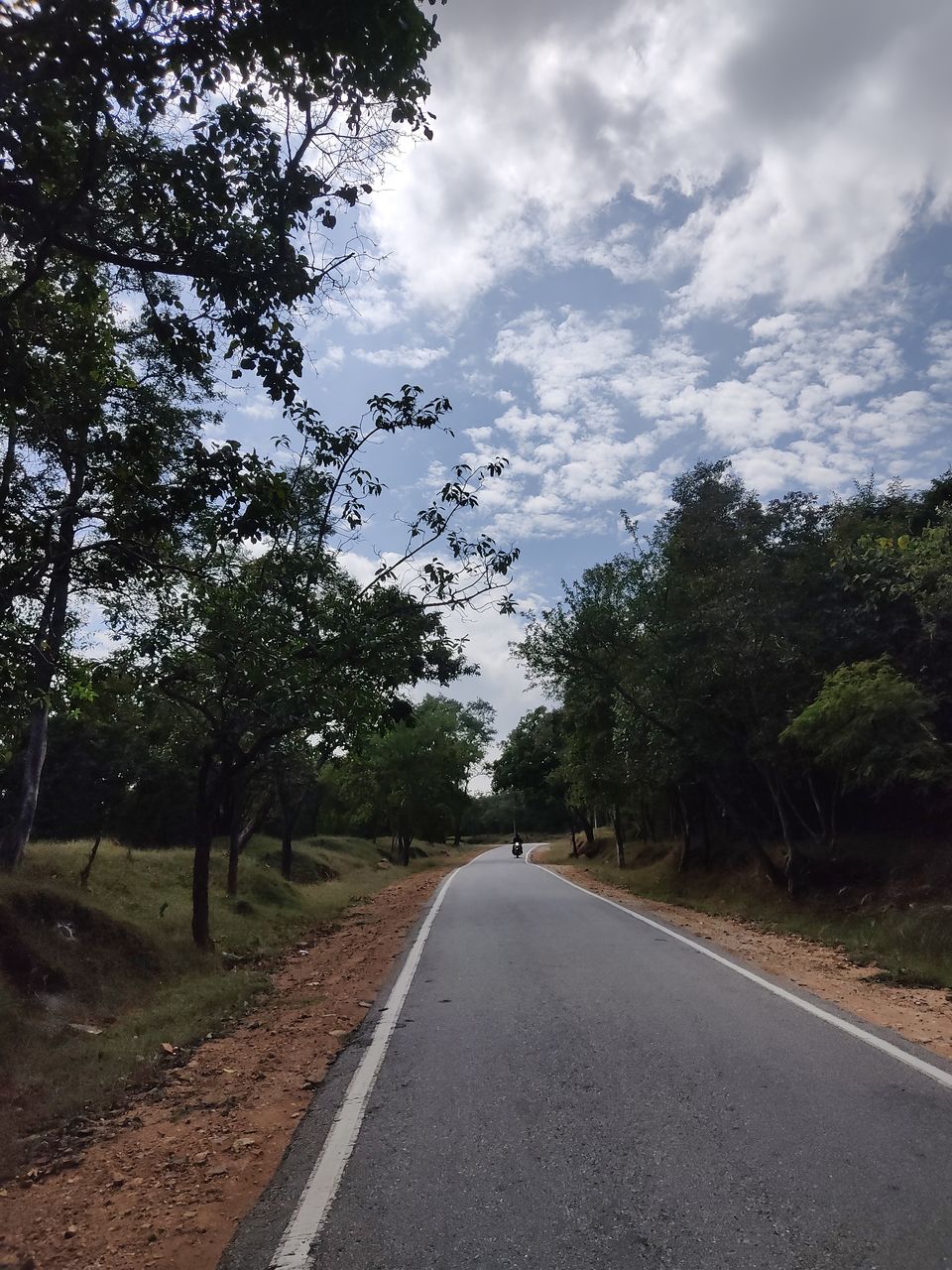 Photo of Bengaluru to B. R. hills and back 11/17 by Apoorva CG