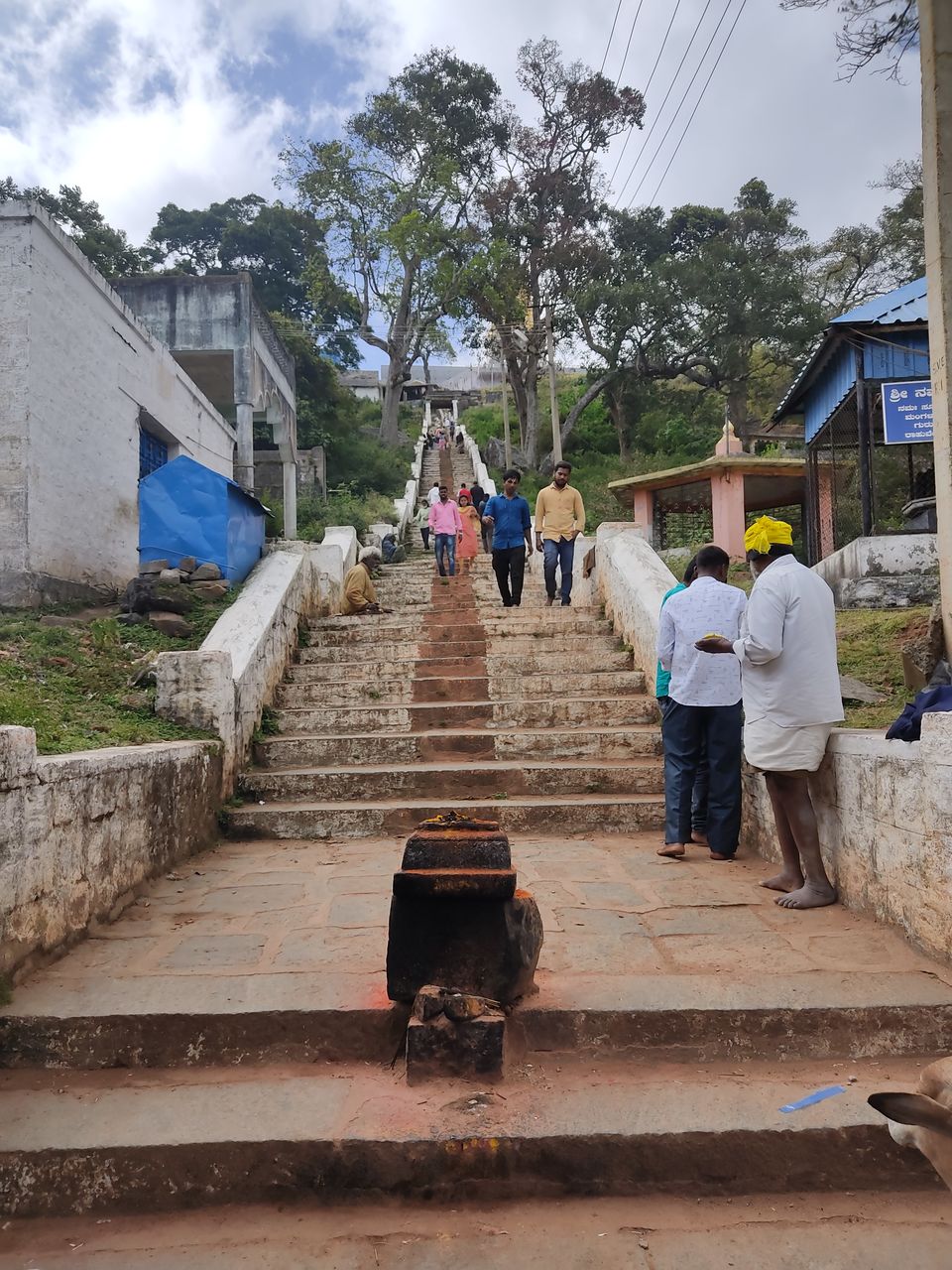 Photo of Bengaluru to B. R. hills and back 14/17 by Apoorva CG